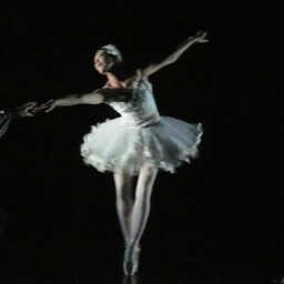 Swan Lake Act II at Lanterns Studio Theatre: 19th & 20th July 2014