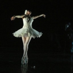 Swan Lake Act II at Lanterns Studio Theatre: 19th & 20th July 2014