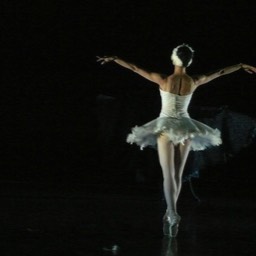Swan Lake Act II at Lanterns Studio Theatre: 19th & 20th July 2014
